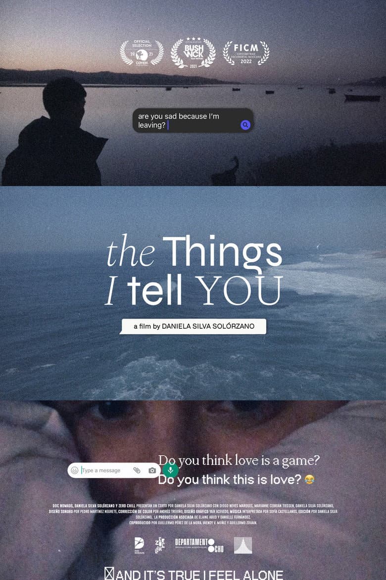 The Things I Tell You poster