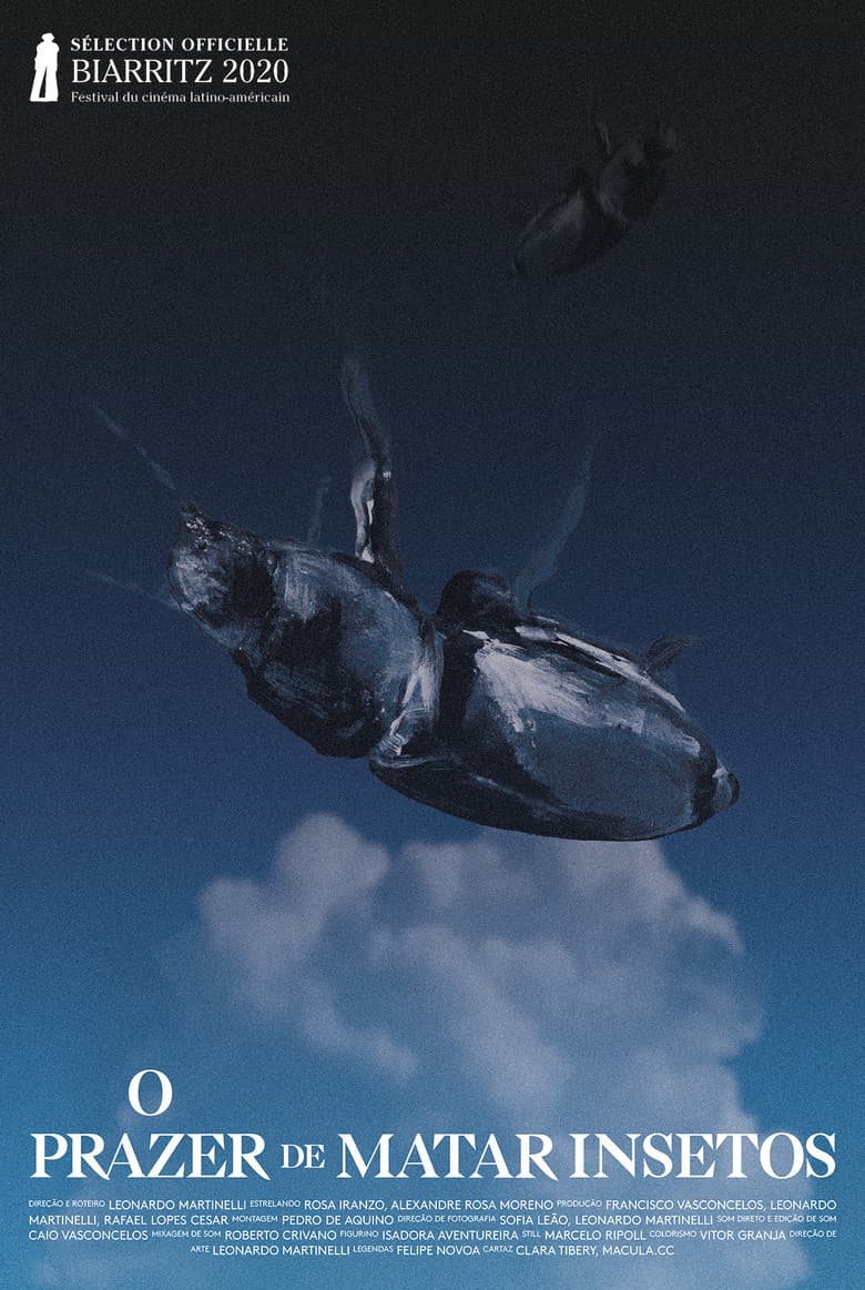 The Pleasure of Killing Bugs poster