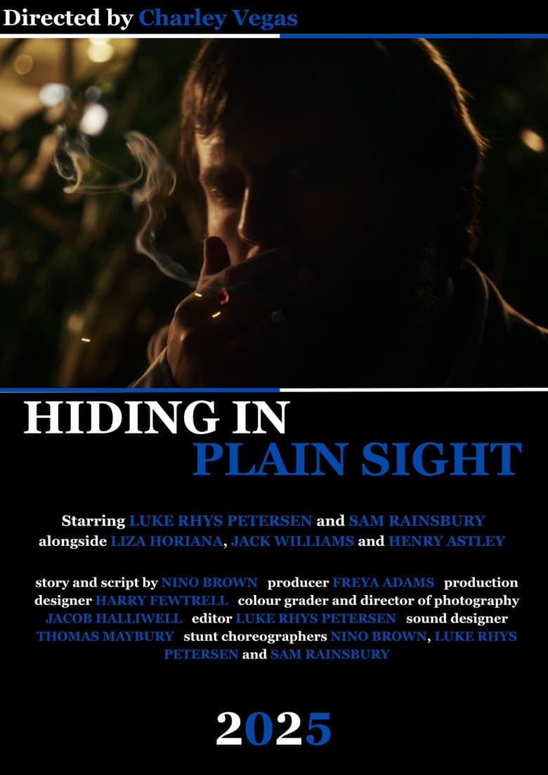 Hiding in Plain Sight poster