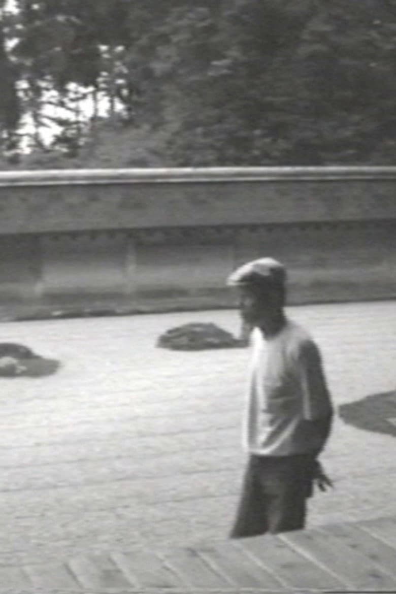 The Making of MA in Ryoan-ji poster