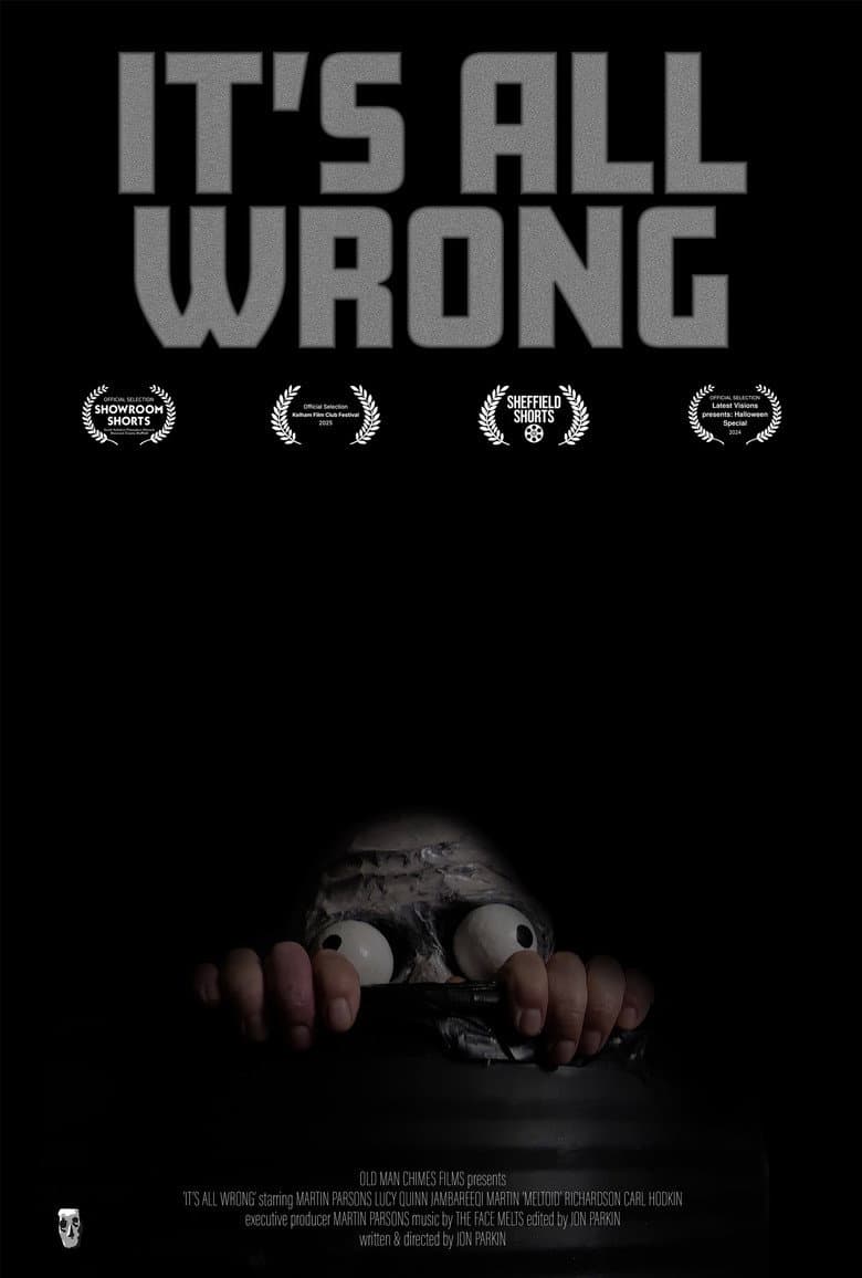 It's All Wrong poster