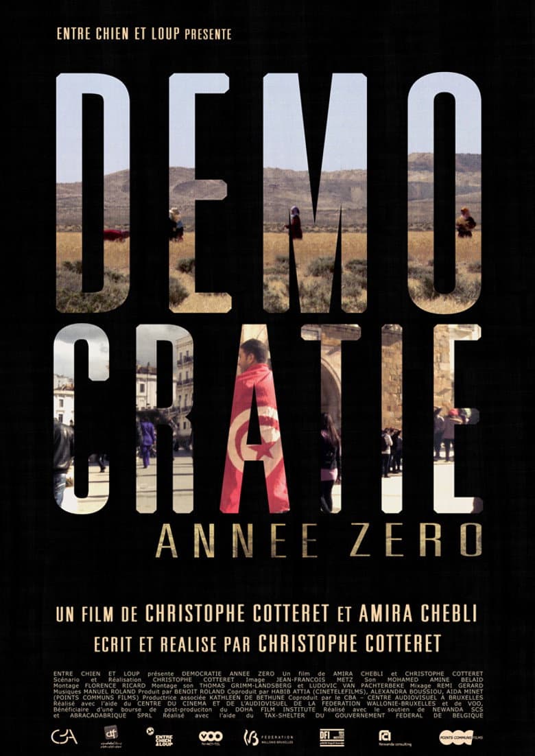 Démocratie Année Zéro poster