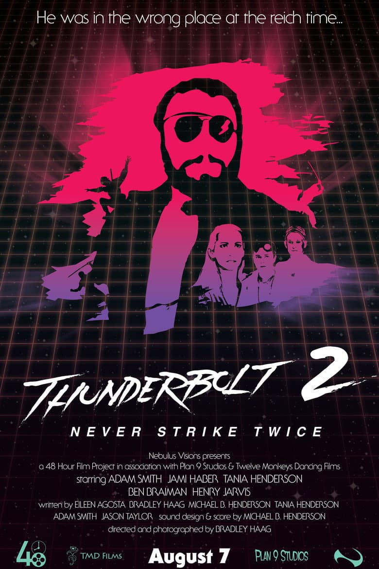 Thunderbolt 2: Never Strike Twice poster
