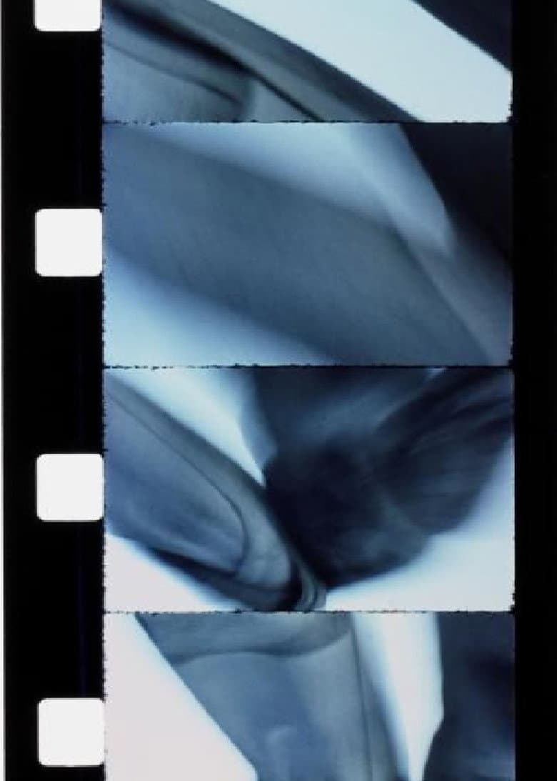 Chutes de Versailles poster