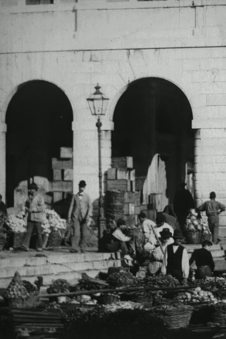 Panoramic View of the Vegetable Market at Venice poster