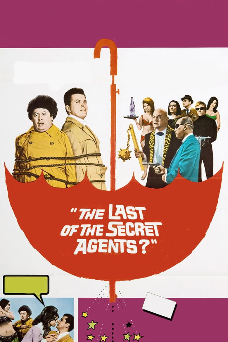The Last of the Secret Agents? poster