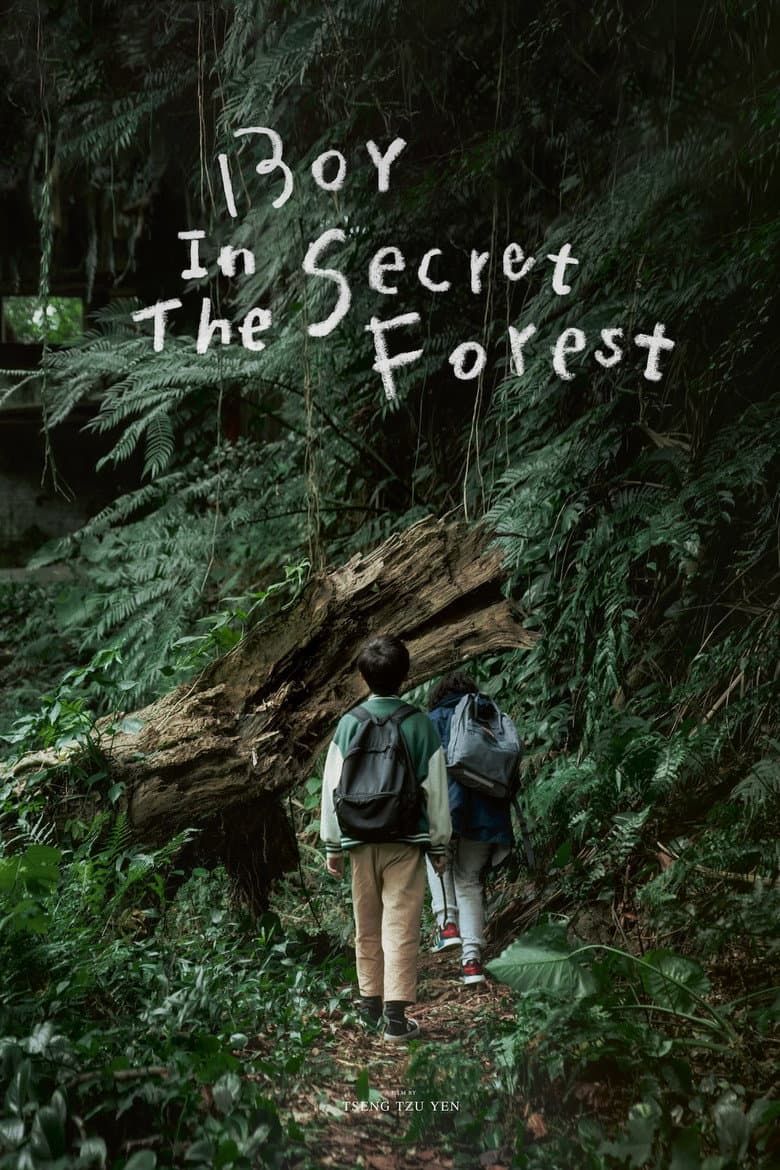 Boy in the Secret Forest poster
