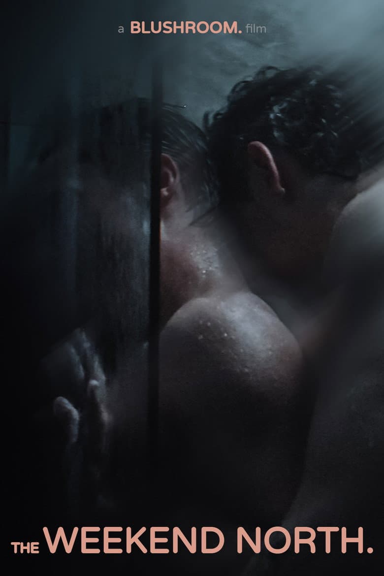 The Weekend North poster