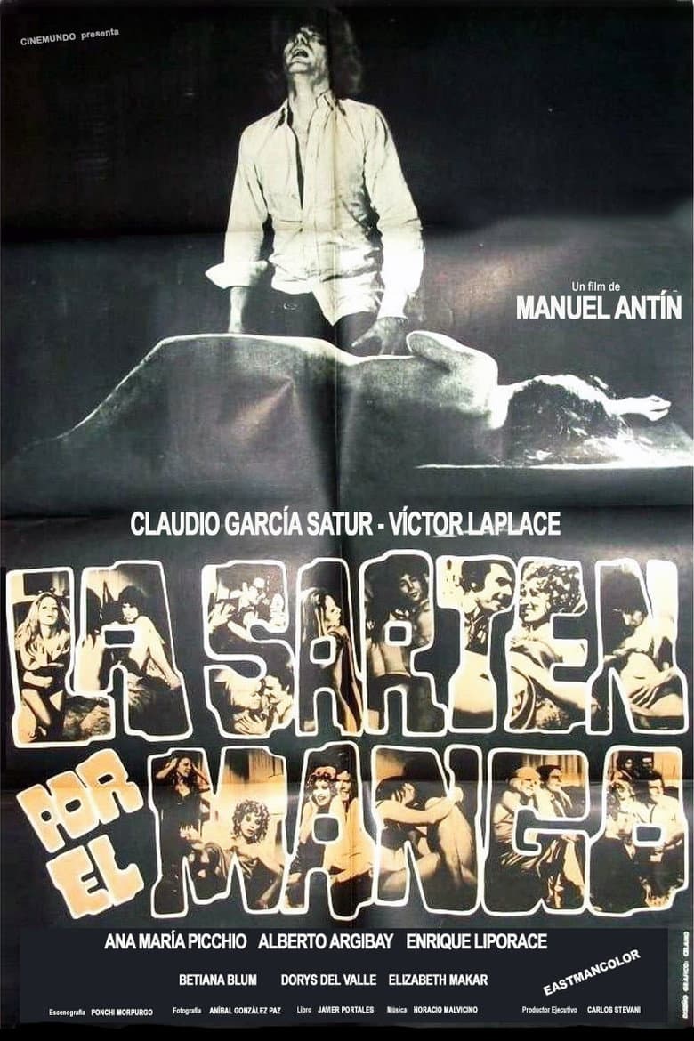 La sartén por el mango poster