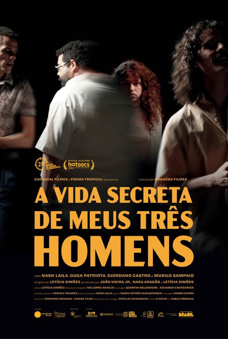 The Secret Lives of My Three Men poster