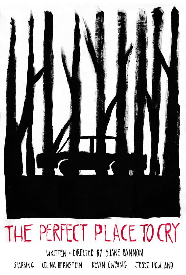 The Perfect Place to Cry poster