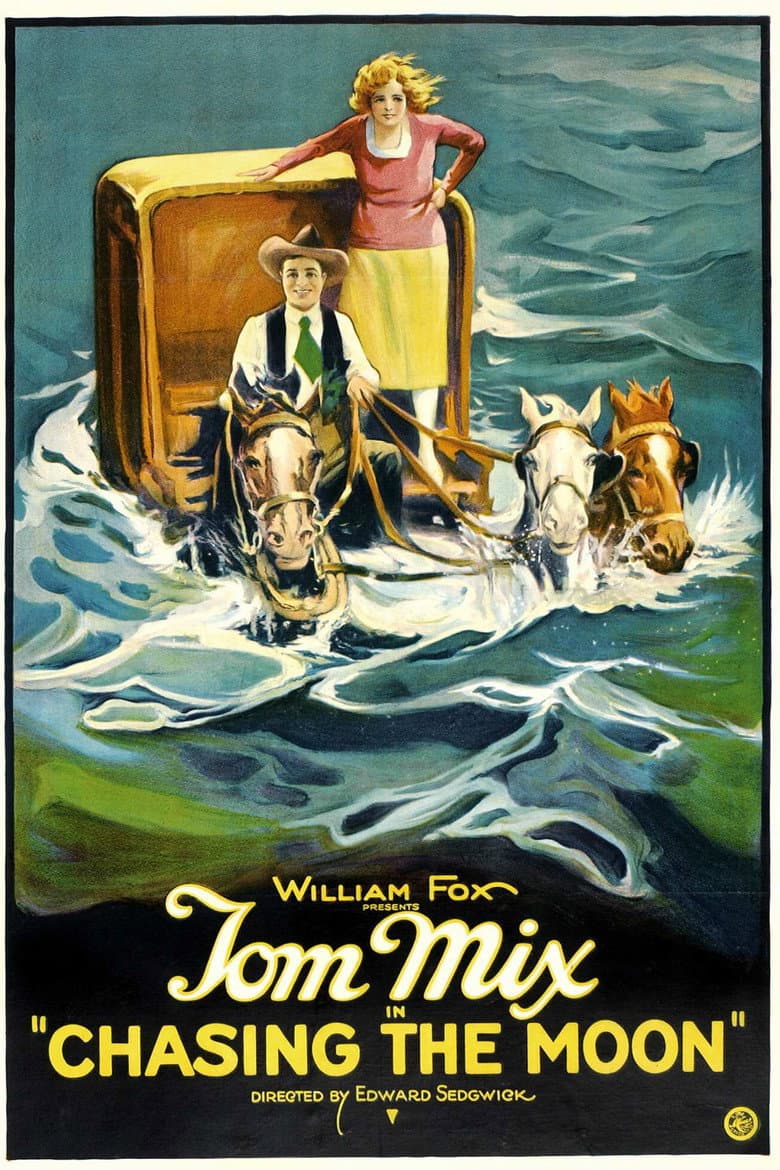 Chasing the Moon poster