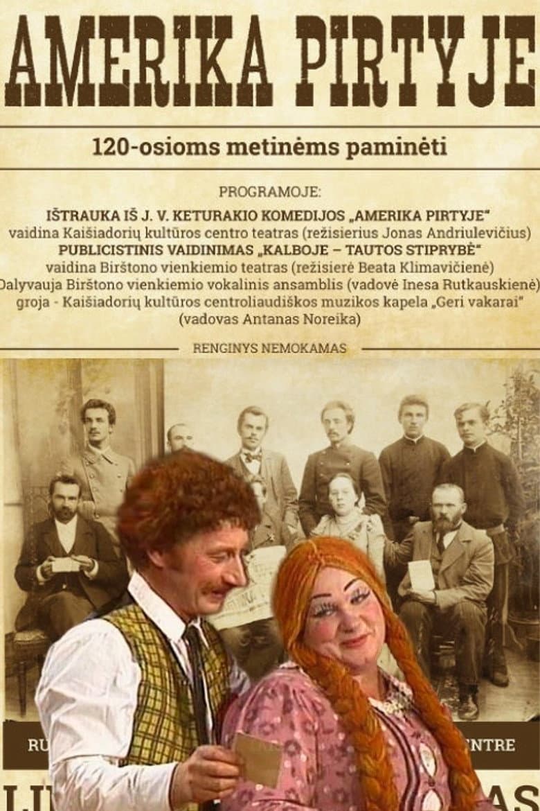 America in the Bathhouse poster