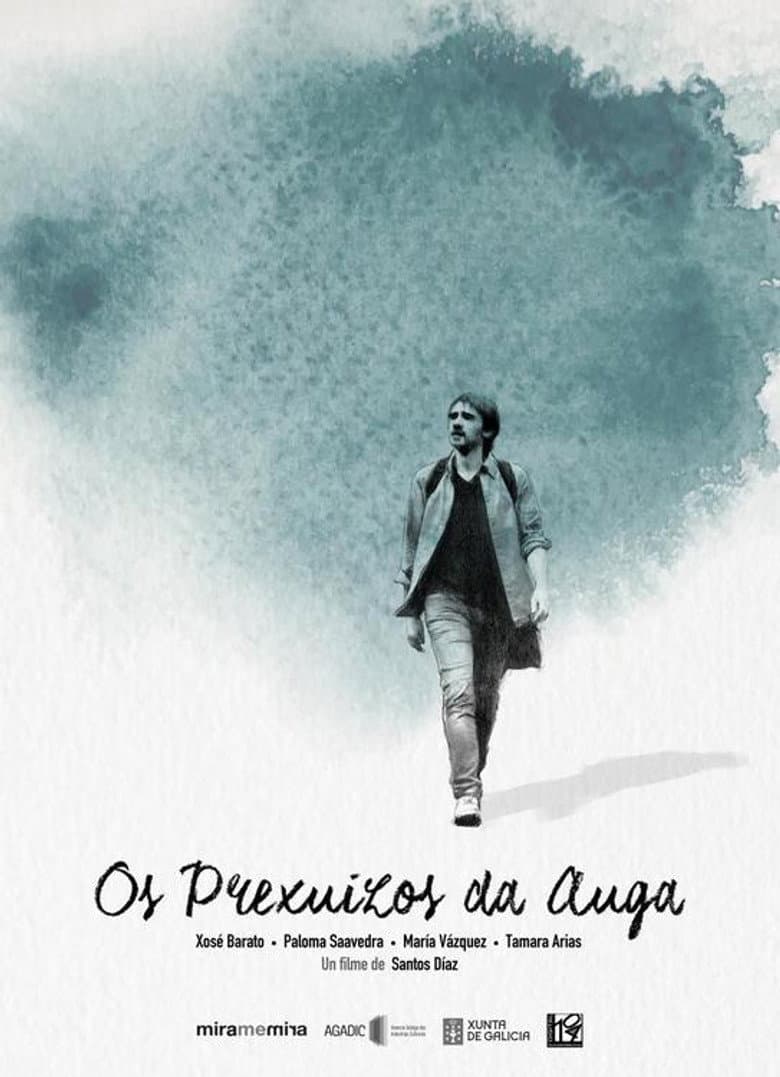 Os prexuízos da auga poster