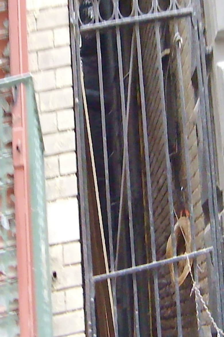 Mosco Street 2 poster