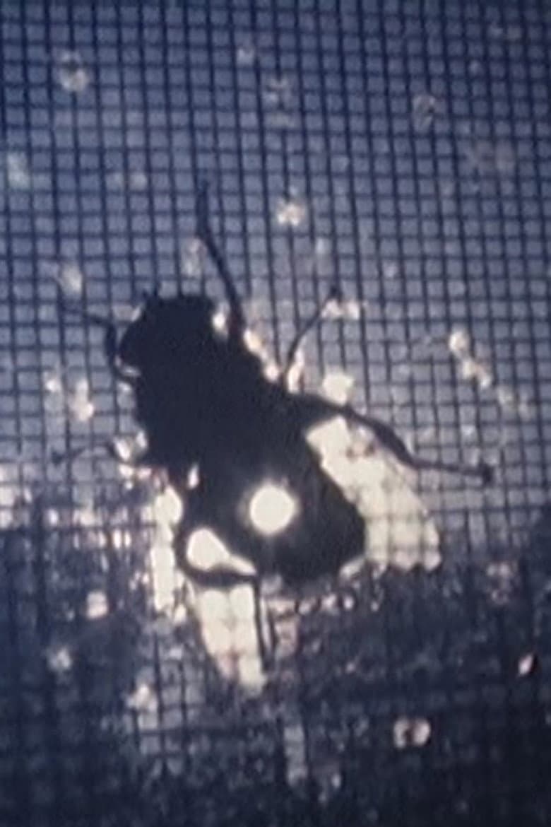 FLAHERTY SEMINAR 2002 poster