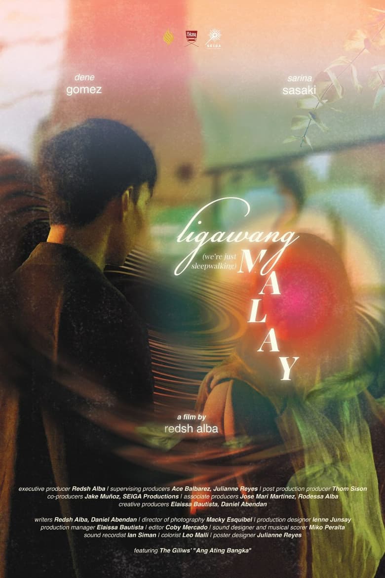 We're Just Sleepwalking poster