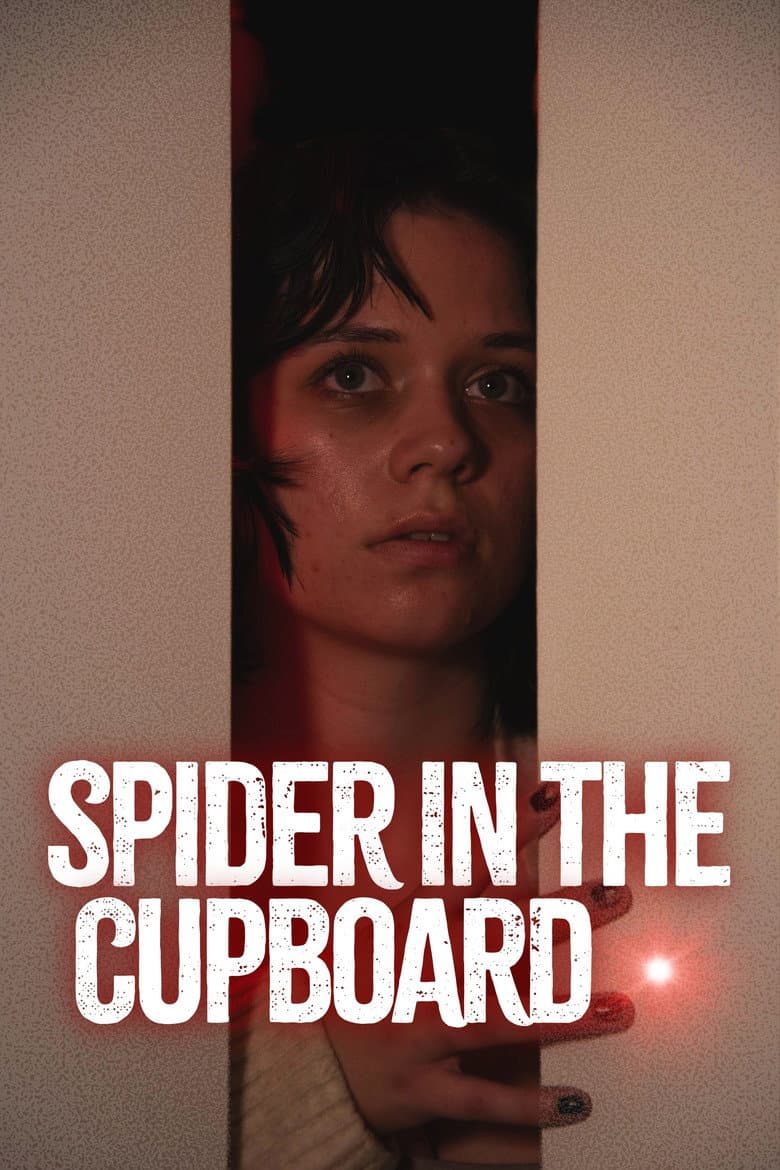 Spider in the Cupboard poster