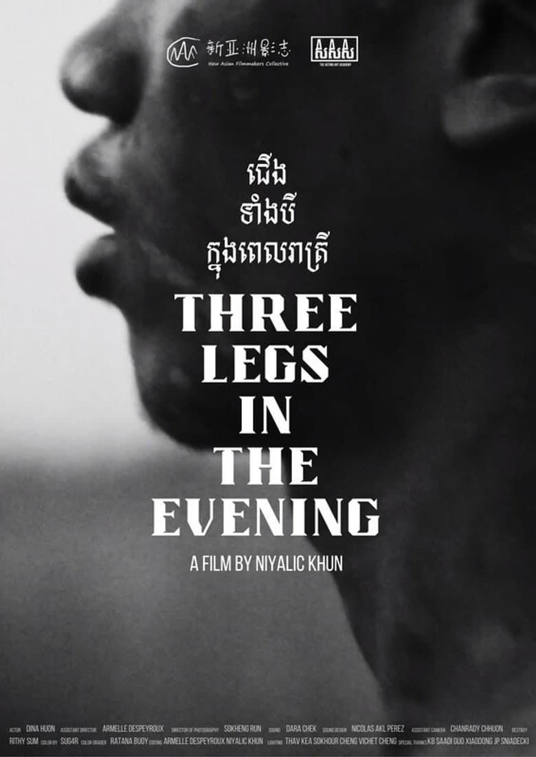 Three Legs in the Evening poster