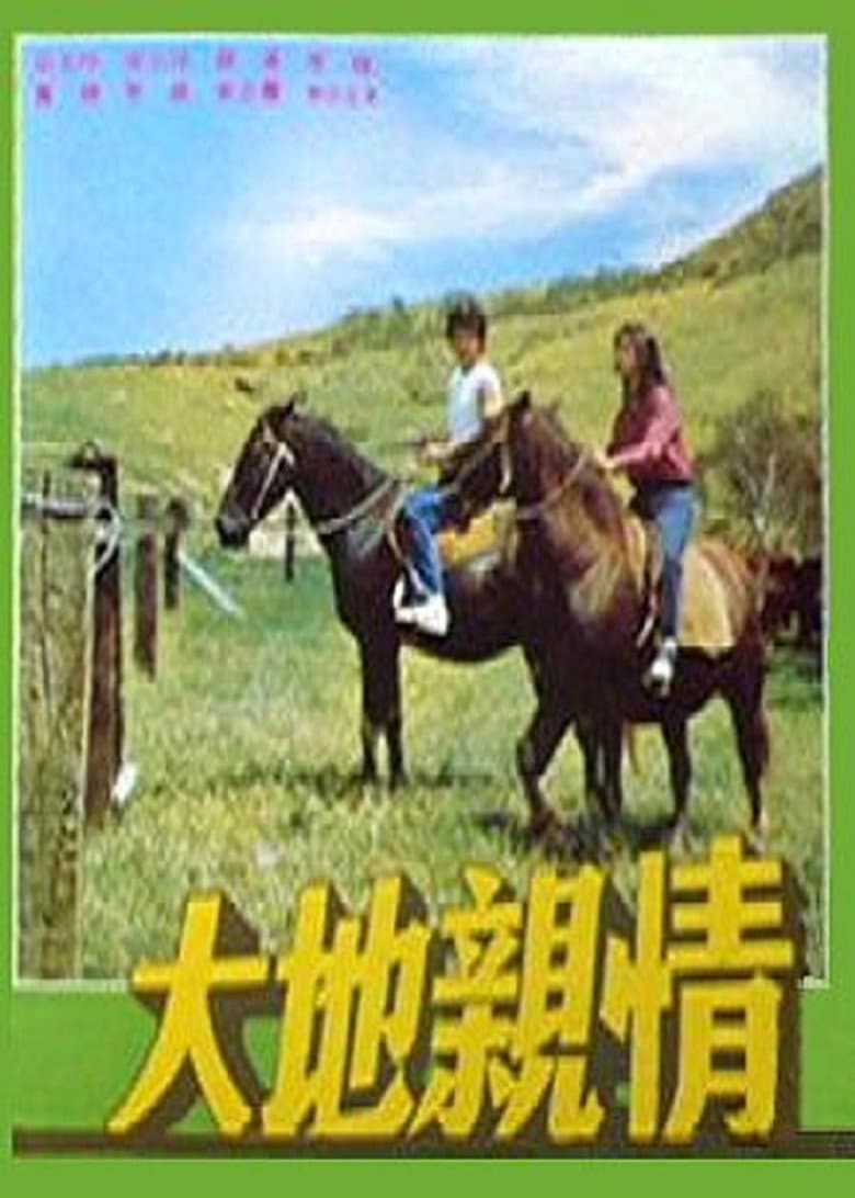 Love on the Big Country poster
