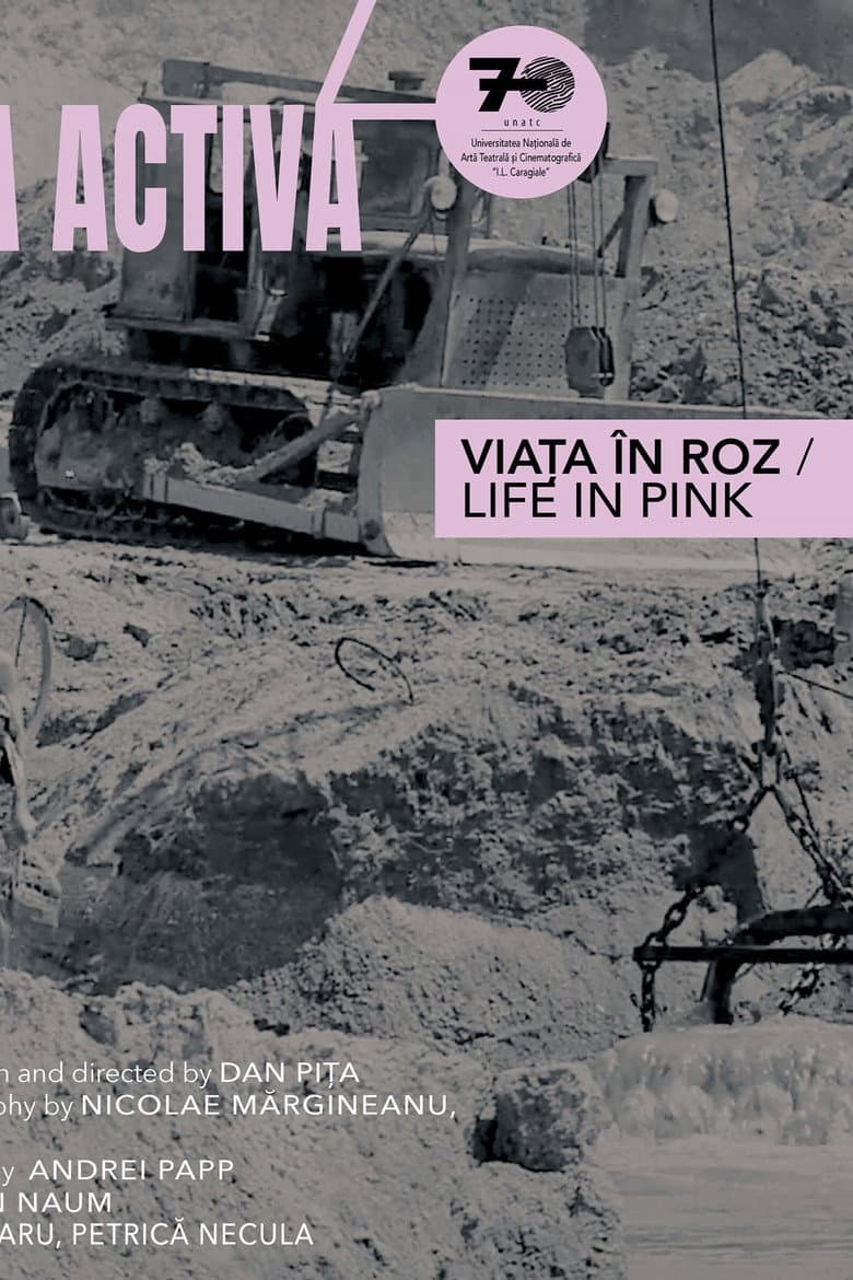 Life in Pink poster