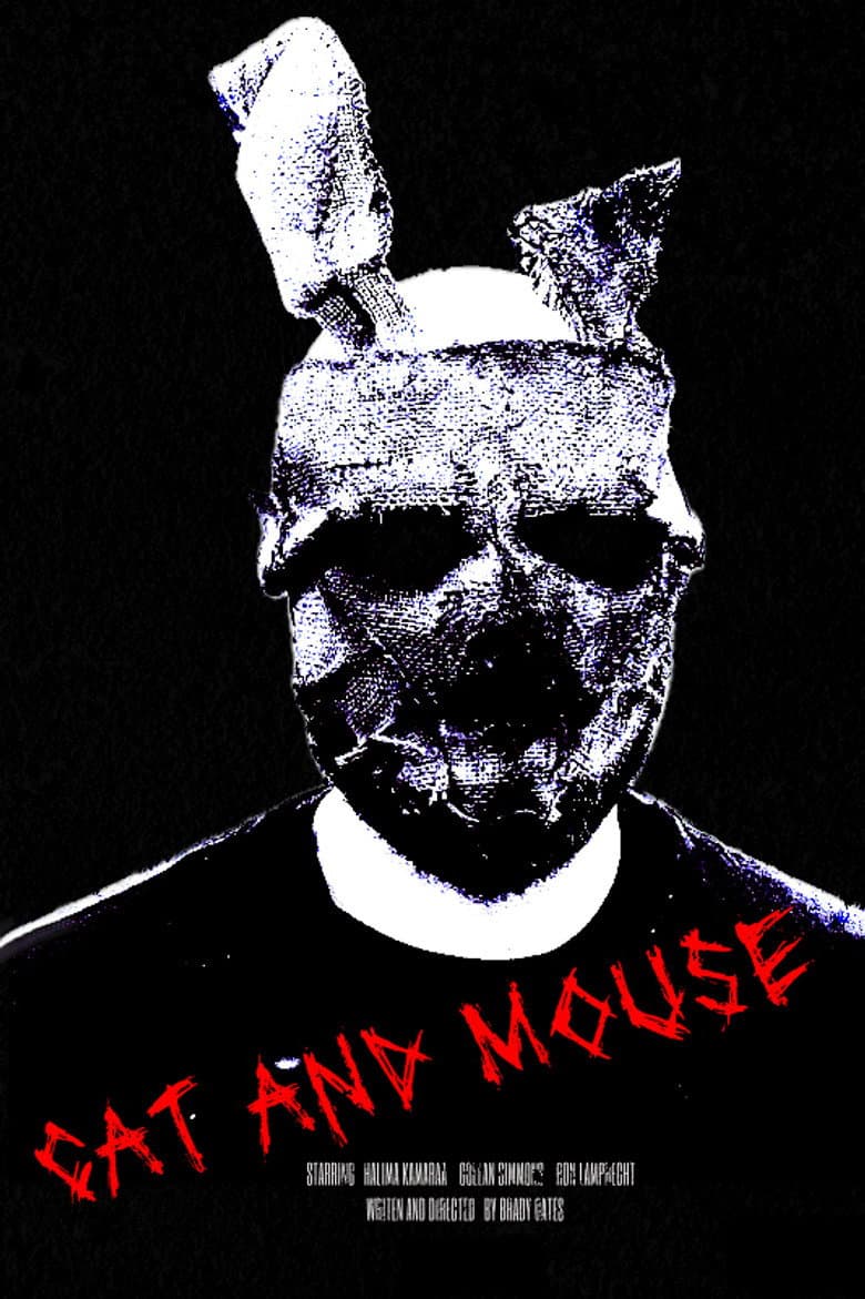Cat and Mouse poster