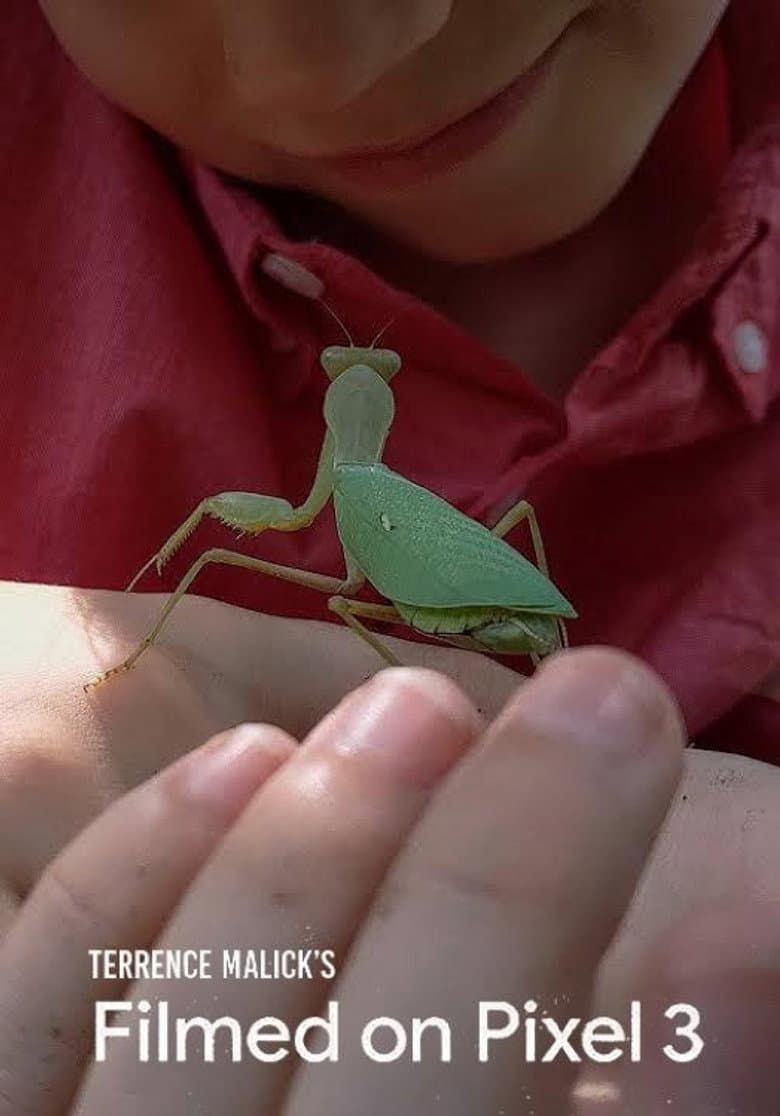 Filmed on Pixel 3 poster