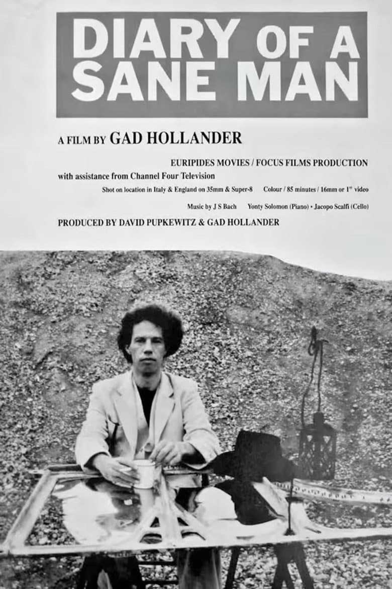 Diary of a Sane Man poster