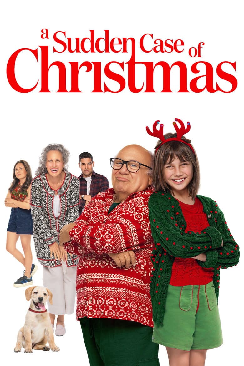 A Sudden Case of Christmas poster