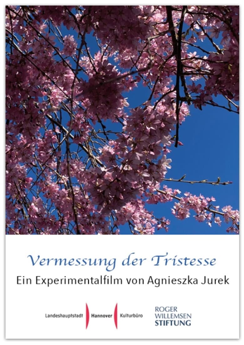 Measuring Sadness poster