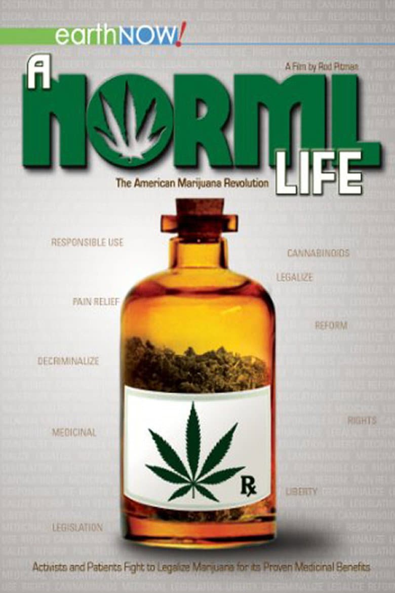 A Norml Life poster