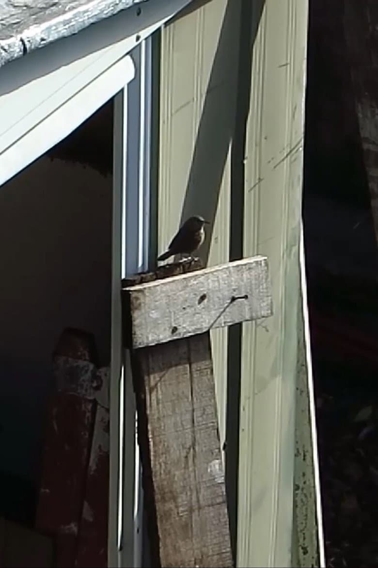 Jardín de piedra poster