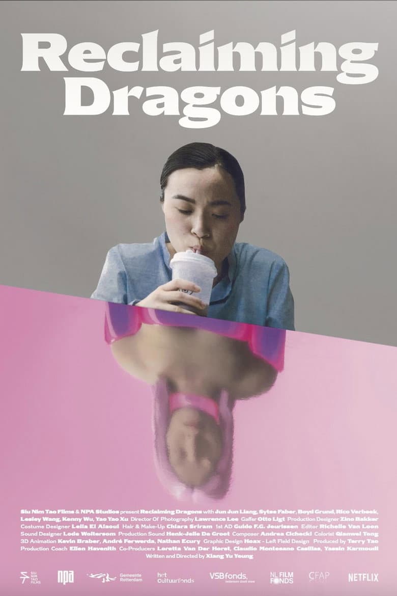 Reclaiming Dragons poster