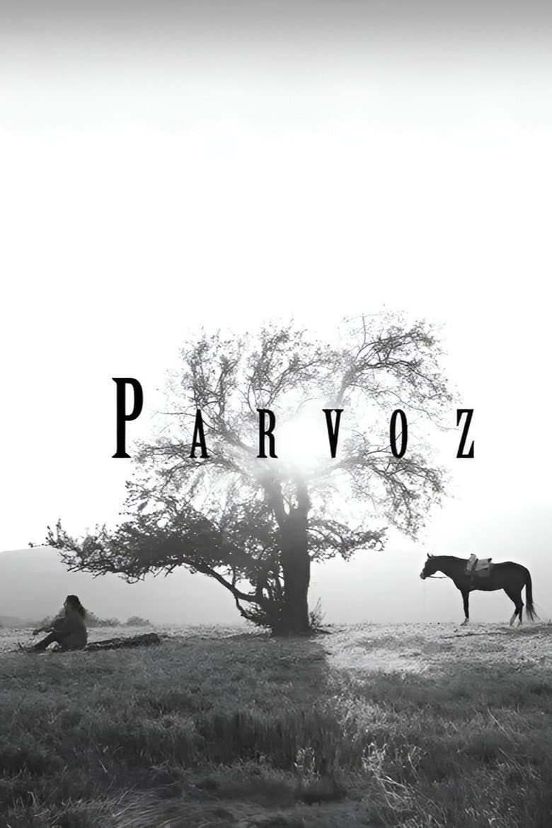 Parvoz poster