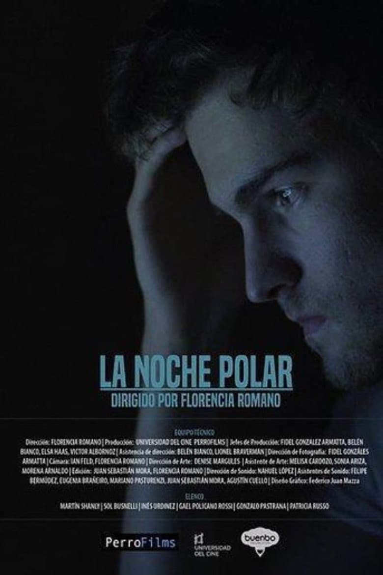 La noche polar poster