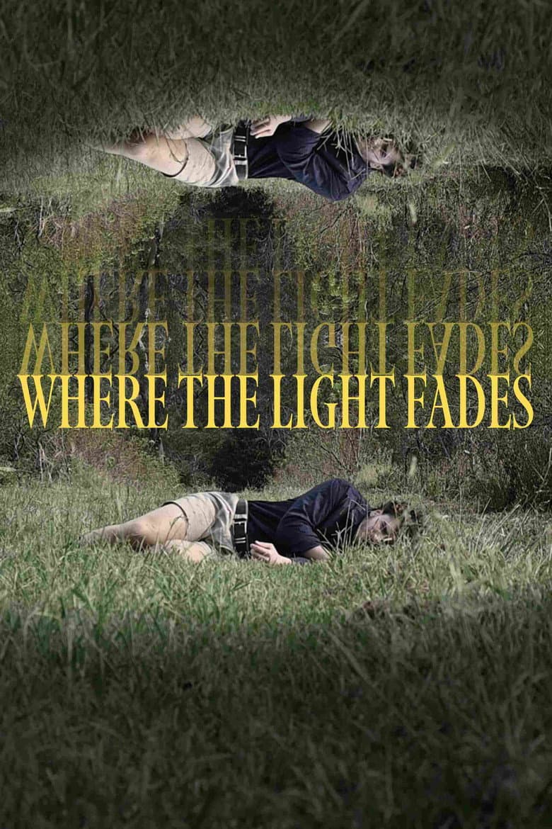Where the Light Fades poster