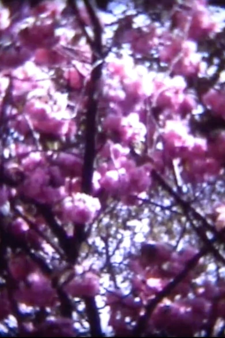 Minute papillon poster