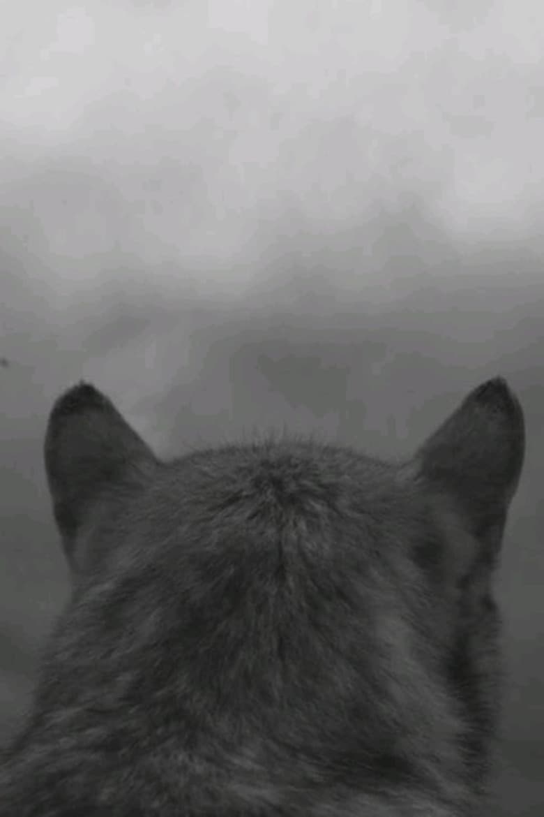 From the Mountain poster