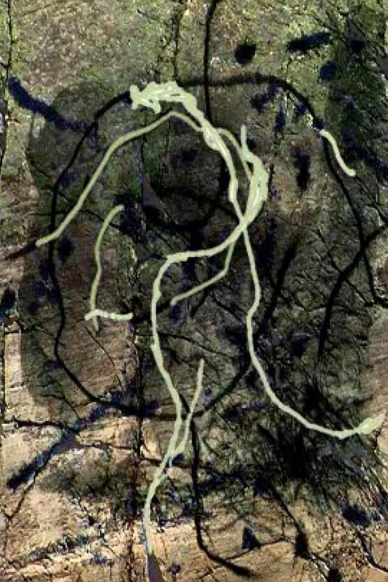 Rivière au tonnerre poster