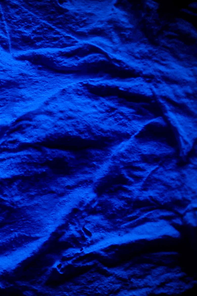 Words Words Words Are Decorative Sounds poster