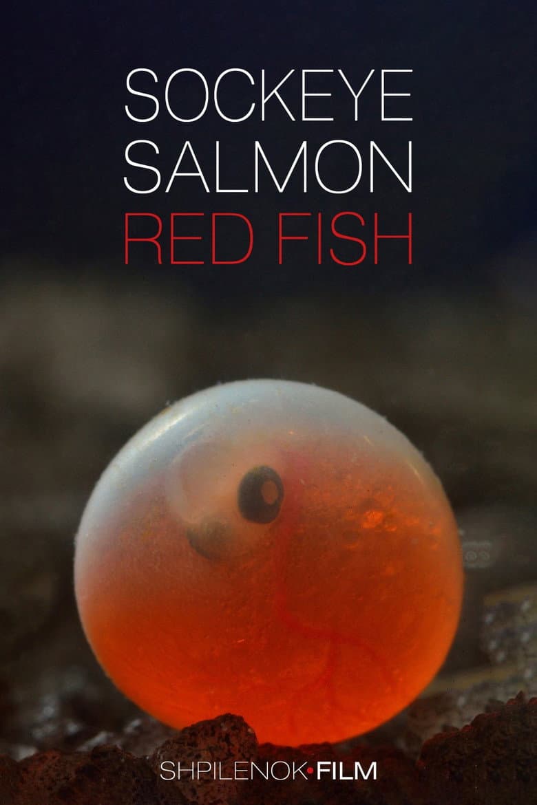 Sockeye Salmon. Red Fish poster