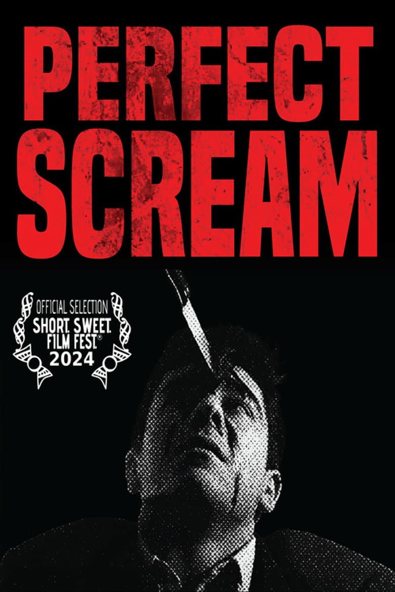 Perfect Scream poster