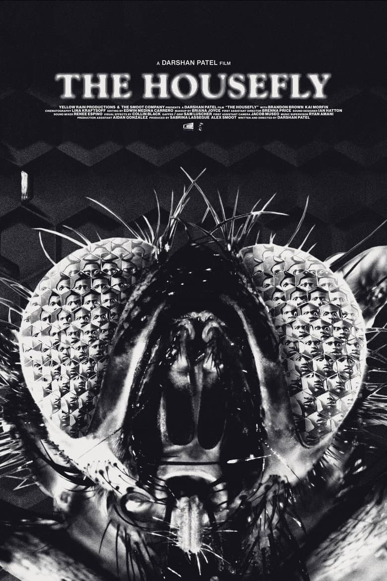 The Housefly poster