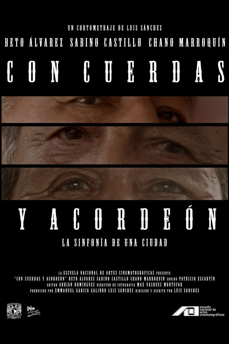 With Strings and Accordion poster