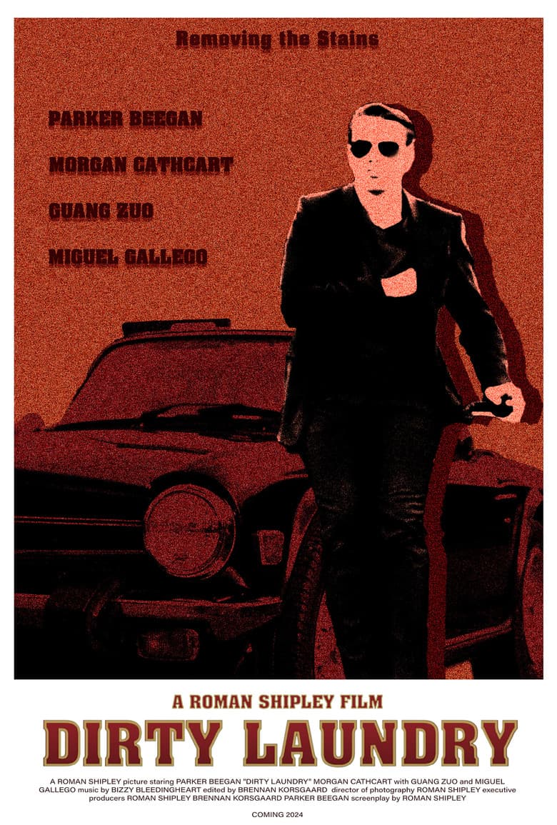 Dirty Laundry poster