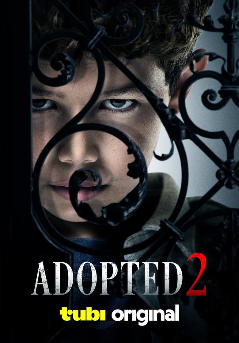 Adopted 2 poster