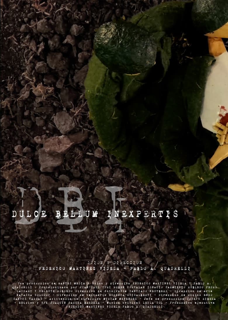 Dulce Bellum Inexpertis poster