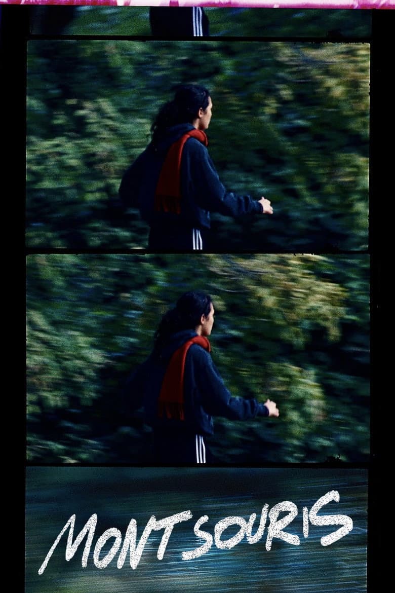 Montsouris Park poster