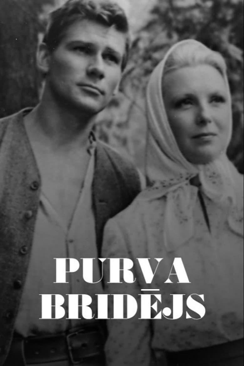 The Swamp Wader poster