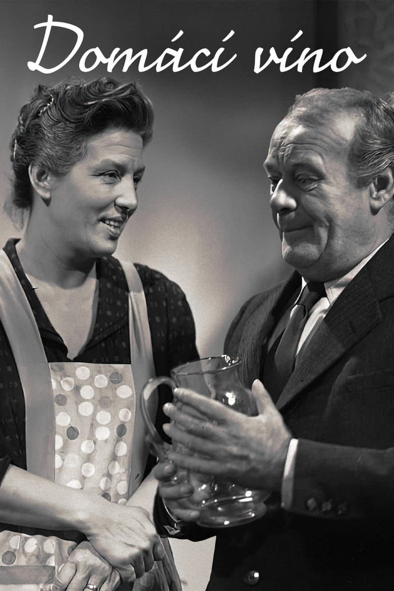 Domácí víno poster